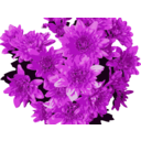 download Red Flowers clipart image with 315 hue color