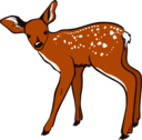 Fawn