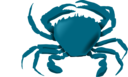 Blue Crab