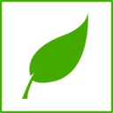 Eco Green Leaf Icon