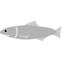 download Anchovy Fish clipart image with 90 hue color