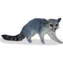 download Ringtail Bassariscus Astutus clipart image with 180 hue color