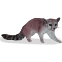 download Ringtail Bassariscus Astutus clipart image with 315 hue color