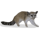 download Ringtail Bassariscus Astutus clipart image with 0 hue color