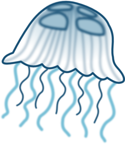 Jellyfish