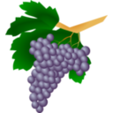 download Grapes Raisin clipart image with 0 hue color