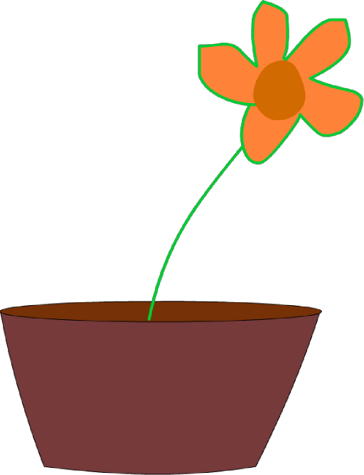 Flower In A Vase