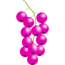 download Redcurrant clipart image with 315 hue color