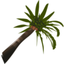 download Coconut Palm clipart image with 0 hue color