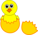 Funny Chick Cartoon Newborn Coming Out From The Egg