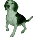 download Beagle Medium Version clipart image with 90 hue color