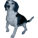download Beagle Medium Version clipart image with 180 hue color
