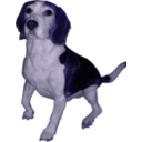 download Beagle Medium Version clipart image with 225 hue color