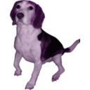 download Beagle Medium Version clipart image with 270 hue color