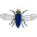 download Blue Bottle Fly clipart image with 45 hue color