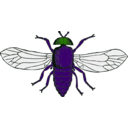 download Blue Bottle Fly clipart image with 90 hue color