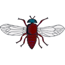 download Blue Bottle Fly clipart image with 180 hue color