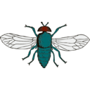 download Blue Bottle Fly clipart image with 0 hue color