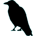 download Crow clipart image with 180 hue color