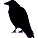 download Crow clipart image with 270 hue color
