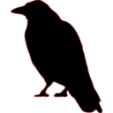 download Crow clipart image with 0 hue color