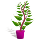 download Green Tall Plant In Its Pot clipart image with 315 hue color