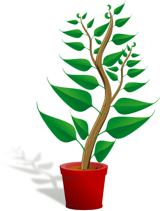 Green Tall Plant In Its Pot Clipart I2clipart Royalty Free Public Domain Clipart
