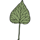 download Ivy Leaf 6 clipart image with 0 hue color