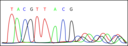 Electropherogram