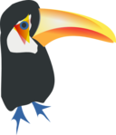 Toucan Toco