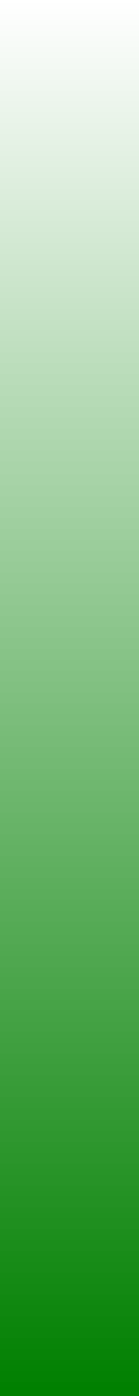 Ws Gradient Green