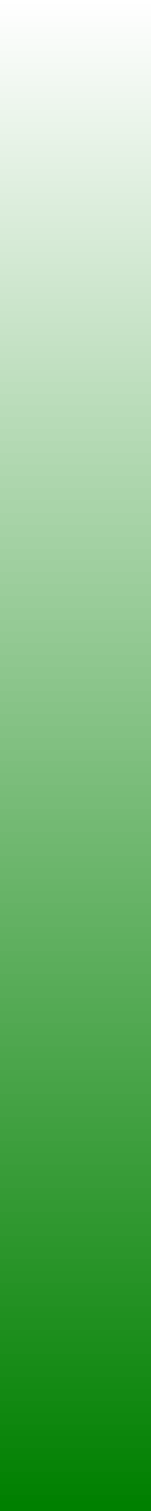 Ws Gradient Green