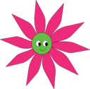 Pink Green Sun Flower