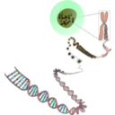 download Chromosomes Deconstructed clipart image with 135 hue color