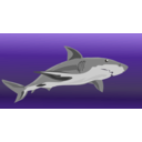 download Shark clipart image with 45 hue color