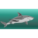 download Shark clipart image with 315 hue color