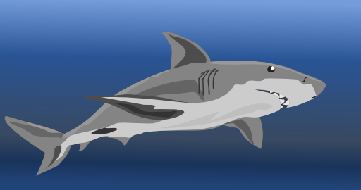 Shark Clipart I2clipart Royalty Free Public Domain Clipart