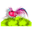 download Colourful Bird clipart image with 315 hue color