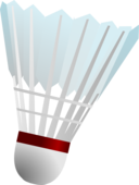 Badminton Shuttlecock