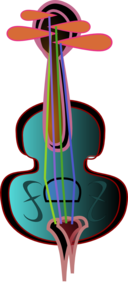 Violin