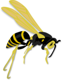 Flying Wasp