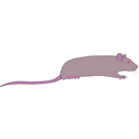 download Rat By Rones clipart image with 315 hue color