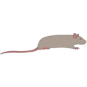 download Rat By Rones clipart image with 0 hue color