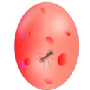 download Ant In Amber clipart image with 315 hue color