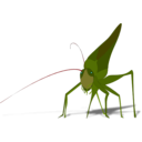 download Grasshopper With Shadow clipart image with 315 hue color