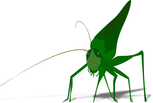 Grasshopper With Shadow
