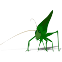 download Grasshopper With Shadow clipart image with 0 hue color