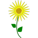 download Flower Sunflower clipart image with 0 hue color