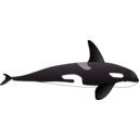 download Orca clipart image with 90 hue color