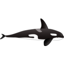 download Orca clipart image with 135 hue color